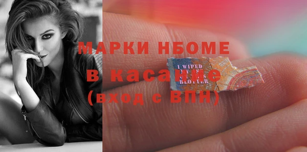 гидра Аша
