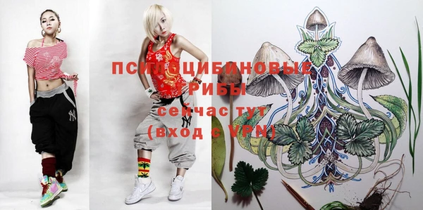 скорость Коряжма