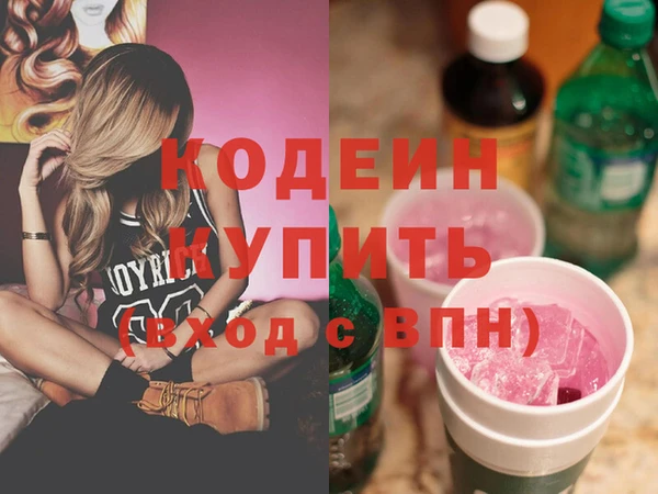гидра Аша
