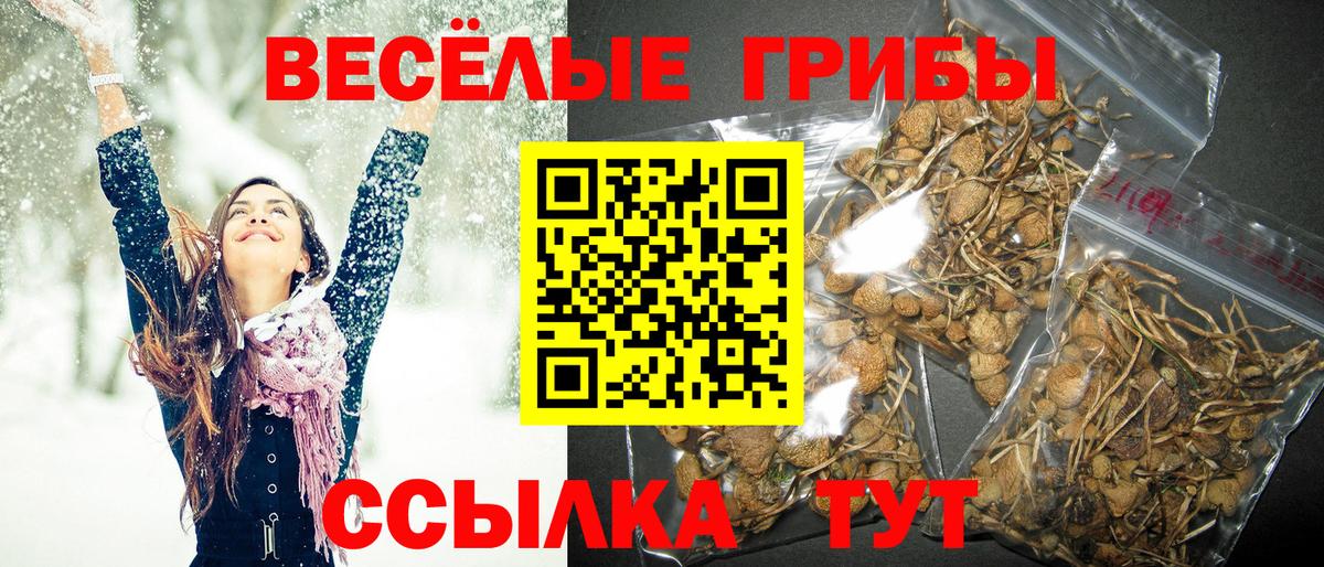 Галлюциногенные грибы прущие грибы  где купить наркоту  Моршанск  Вход с VPN 