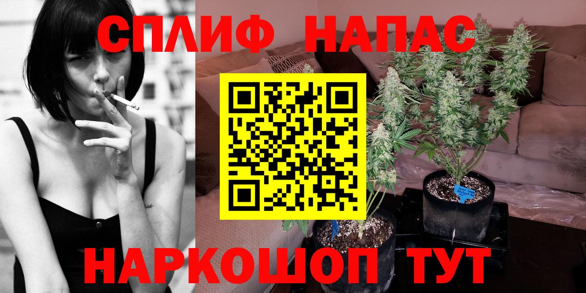 Моршанск  МАРИХУАНА план  Бошки марихуана Bruce Banner  Конопля MAZAR  Бошки марихуана White Widow  Вход с VPN 